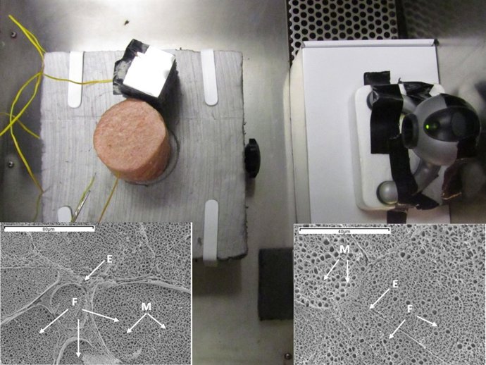 La UPV desarrolla unos sensores para detectar fraude en al carne congelada