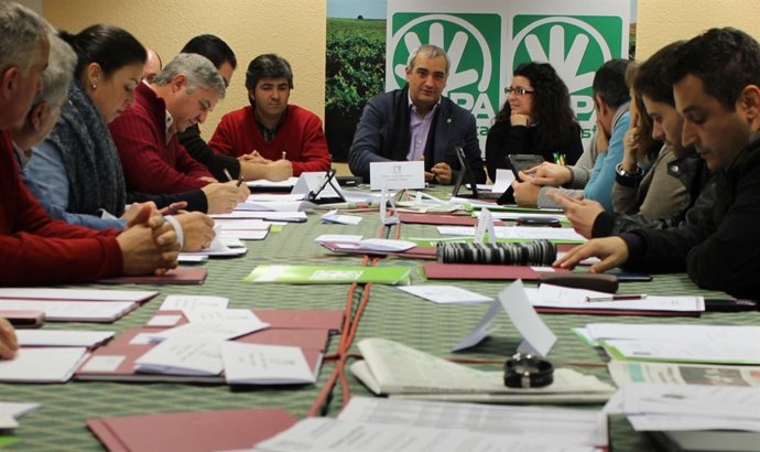 Comisión Ejecutiva Nacional del PA