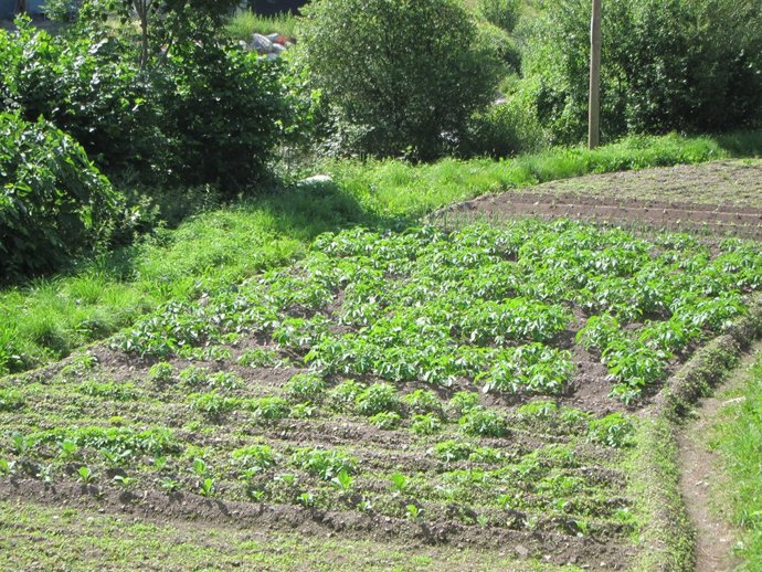 Laplana aboga por la incorporación de jóvenes a la agricultura