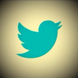 Logotipo de Twitter con filtro