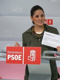 El PSOE extremeño tacha de "sinvergonzonería" las "triquiñuelas" de PP e IU sobre la ley de Renta Básica