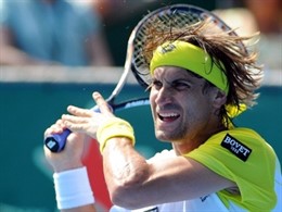 David Ferrer Auckland