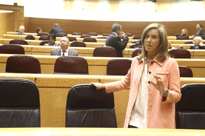 Ana Mato en el Senado el 6 de noviembre de 2012