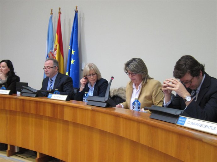 La conselleira do Medio Rural e do Mar, Rosa Quintana, en el Parlamento