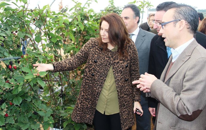 La delegada del Gobierno en Andalucía, Carmen Crespo, en Lucena (Huelva).