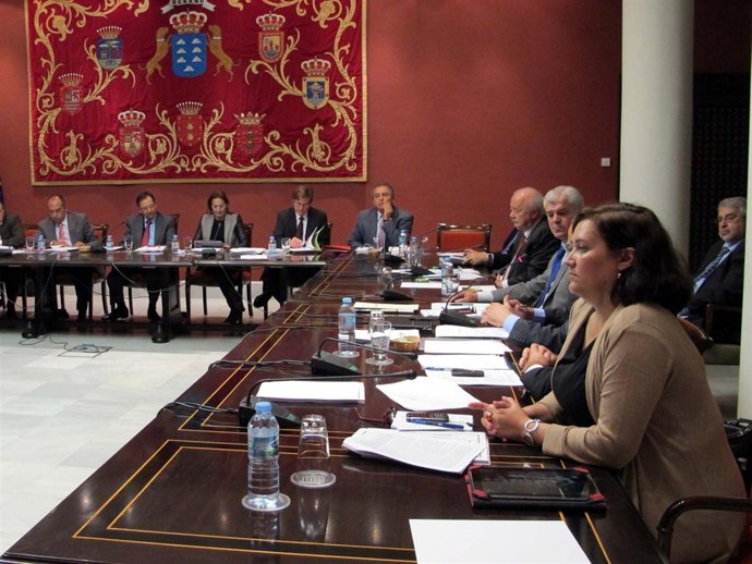 González Taño, en la comisión parlamentaria