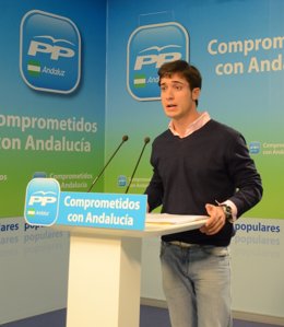 Luis Paniagua, en rueda de prensa