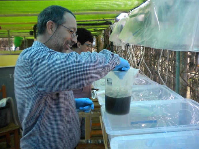 Centro de cultivo acuícola Salinas del Astur. 