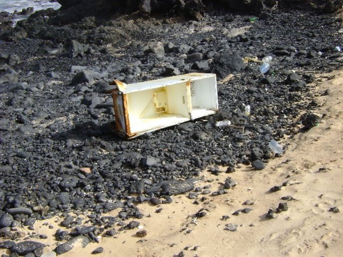 Limpieza en el Parque Natura del Corralejo