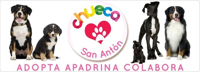 Logo del evento