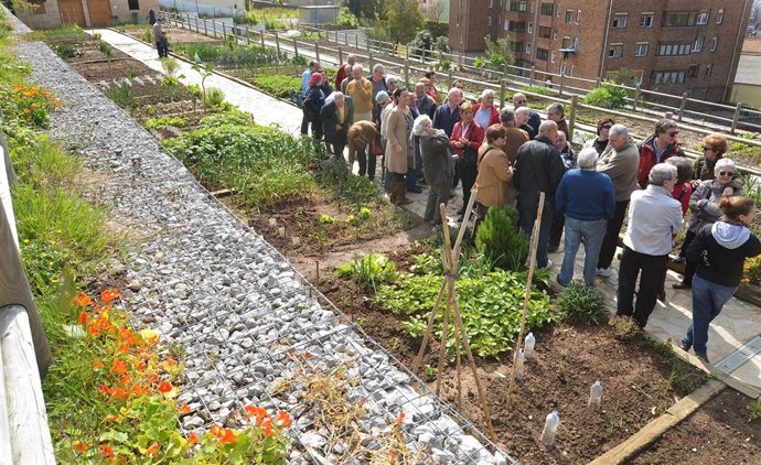 Huertos sostenibles en Santander 