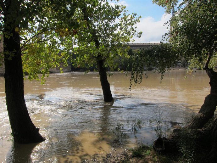 El Ebro ha anegado cultivos en algunas localidades