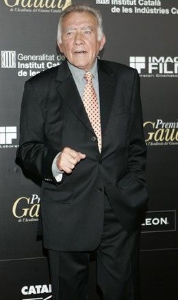 El actor Fernando Guillén