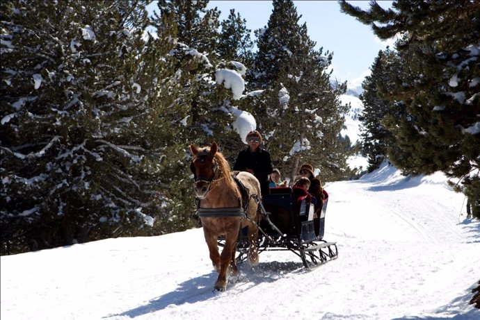 Trineo tirado por caballo sobre nieve