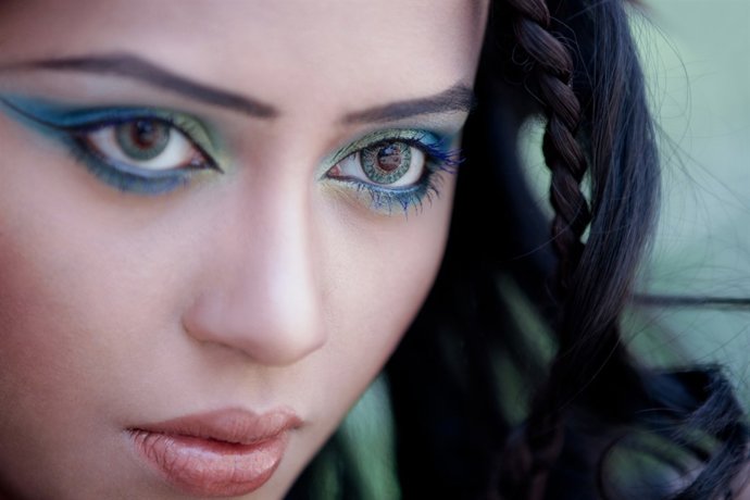 Imagen promocional de la South Asian Trade Fair 2013.