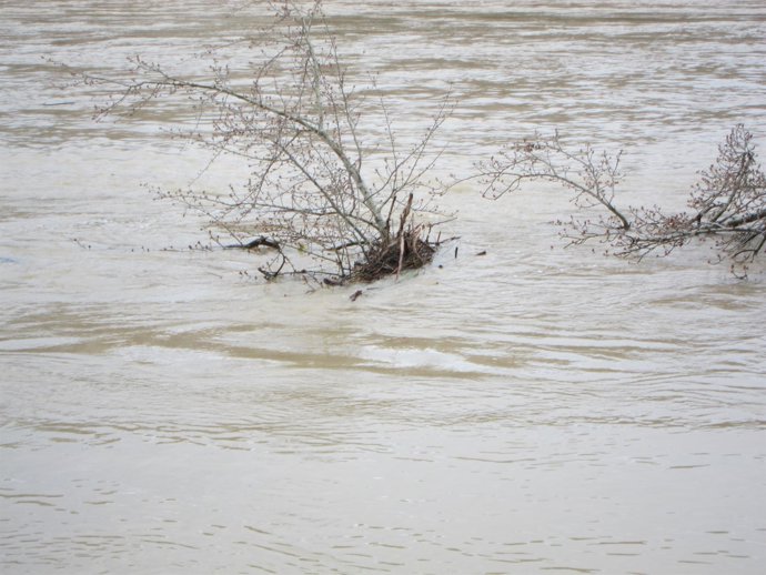 El agua anega unas 3.000 héctareas en la Ribera Alta