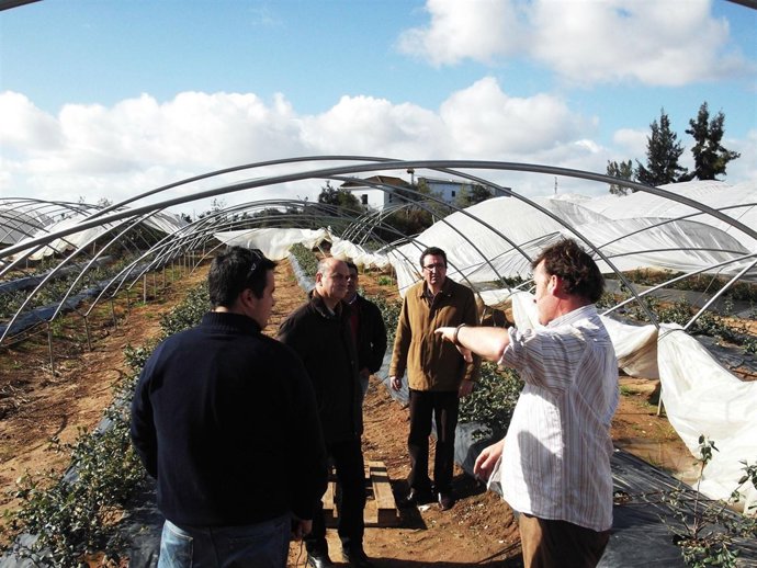 El alcalde de Lepe, Manuel Andrés González, visita los daños del temporal. 