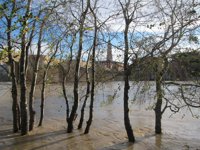 La punta de la crecida del Ebro pasa por Alagón con 1.800 metros cúbicos por segundo