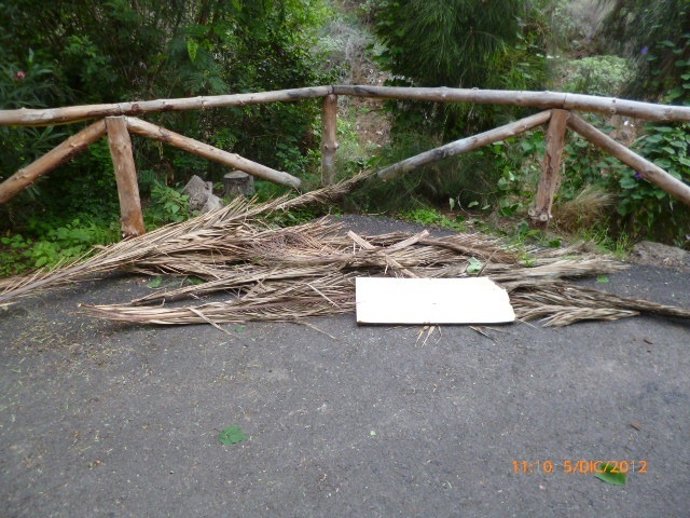 Limpieza viaria en zonas de Las Palmas de Gran Canaria
