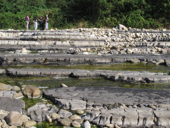 Voluntarios del Proyecto Ríos