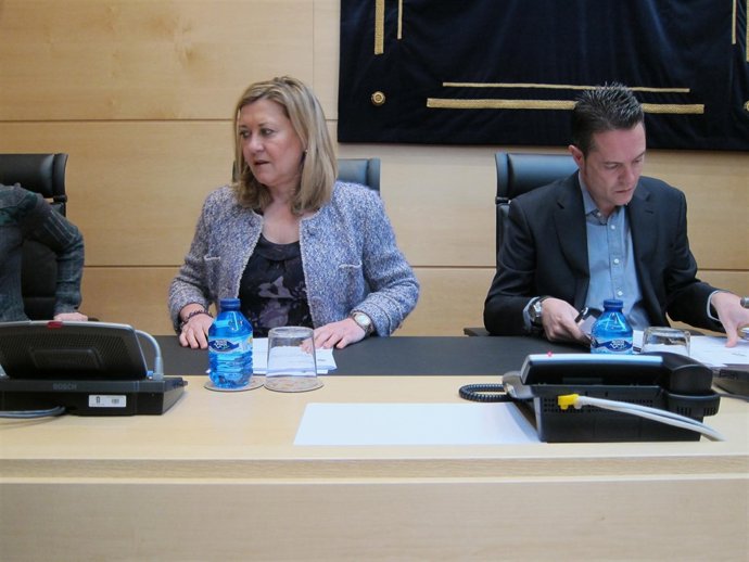 Comparecencia consejera de Hacienda, Pilar del Olmo