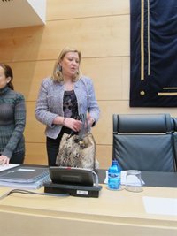 Del Olmo garantiza que los 29 millones recaudados por la amnistía fiscal proceden de actividades "totalmente lícicitas"