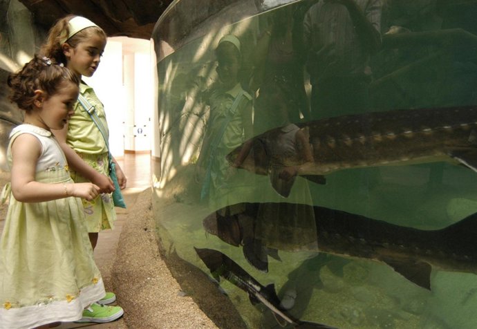 Acuario de Gijón