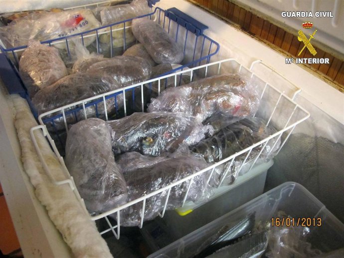 Carnde Decomisada Por La Guardia Civil