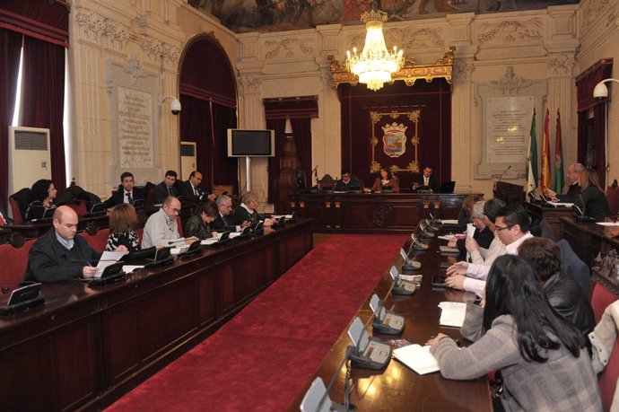 Consejo Sectorial del Comercio del Ayuntamiento de Málaga