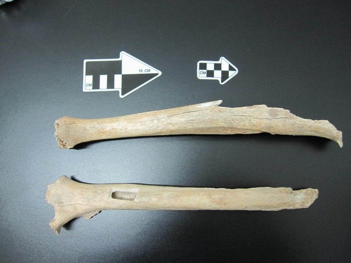 Pierna de 40.000 años de antigüedad hallada en china