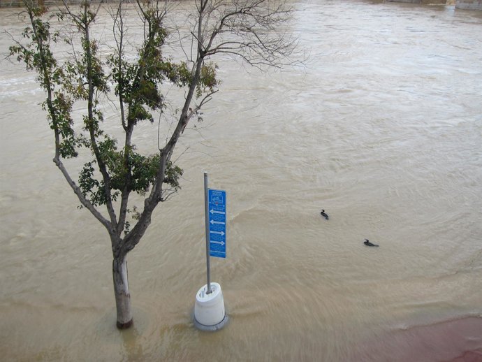 El agua oculta por completo el embarcadero del Náutico
