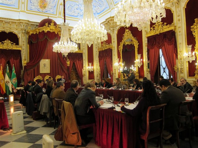 Primer Pleno del año de la Diputación de Cádiz