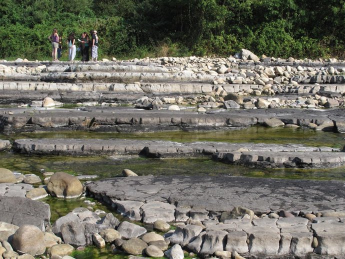 Voluntarios del Proyecto Ríos