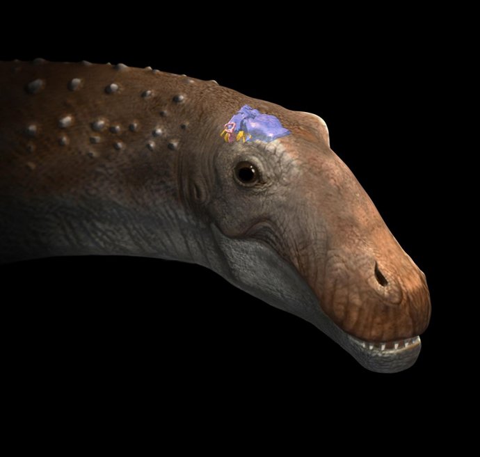 AMPELOSAURIO