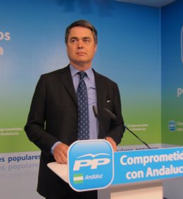 El portavoz parlamentario del PP-A, Carlos Rojas, hoy en rueda de prensa