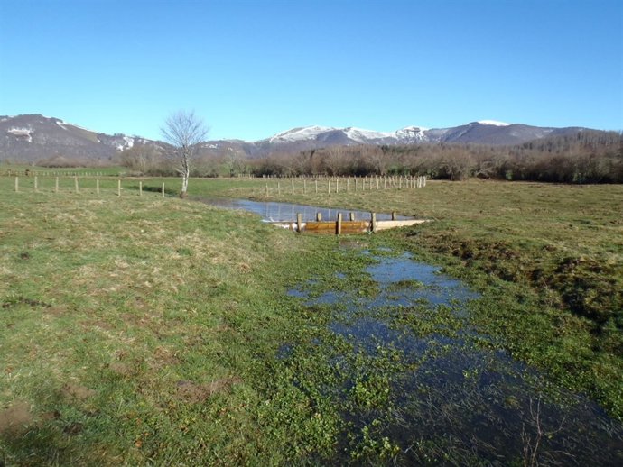 Humedal de Jauregiaroztegi, en Burguete.     