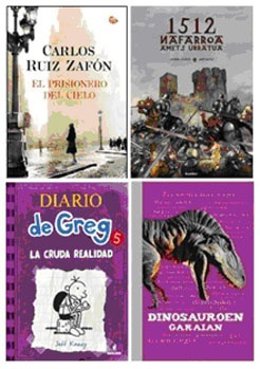 Los libros más prestados en la Red de biblitecas de Navarra en 2012.