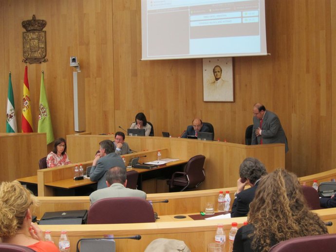 Pleno En La Diputación De Granada