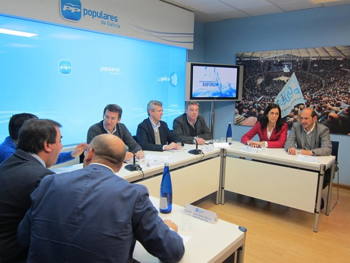 Comité de dirección del PPdeG