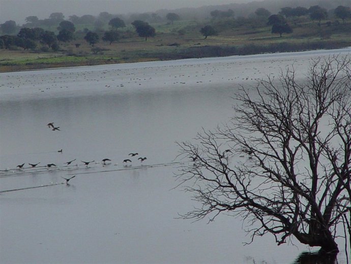 Humedales, Extremadura
