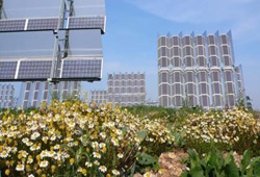 Paneles fotovoltaicos