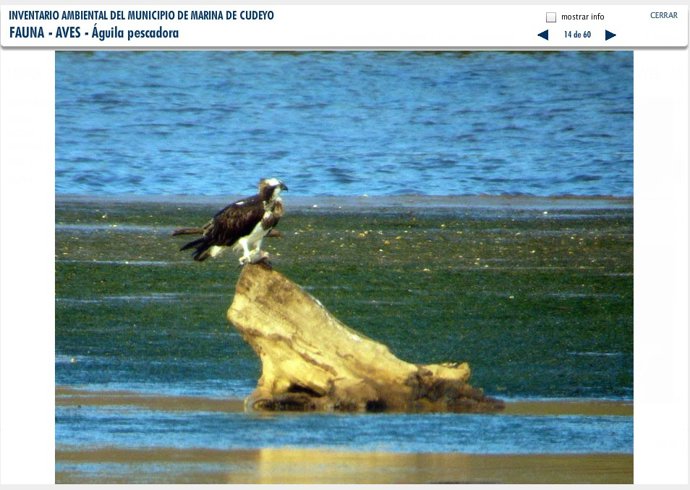 Inventario medioambiental