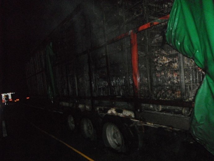 Incendio camiójn con gallinas en O Corgo (Lugo)