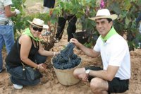 El enoturismo toma fuerza en Fitur 2013