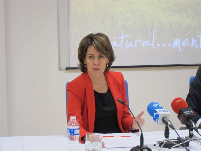 La presidenta del Gobierno de Navarra, Yolanda Barcina.