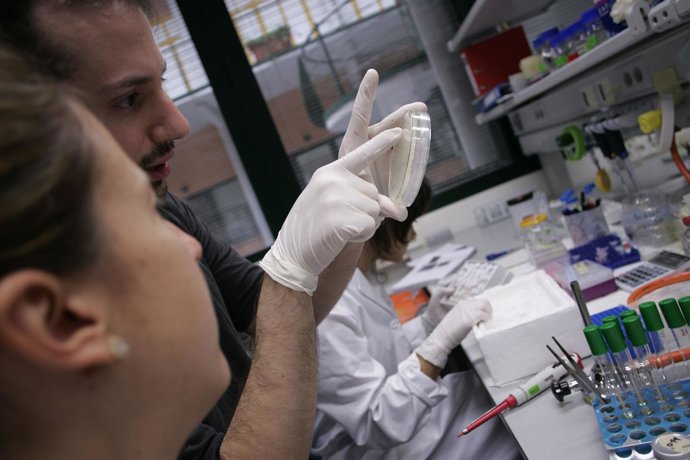 Investigación en la UPO