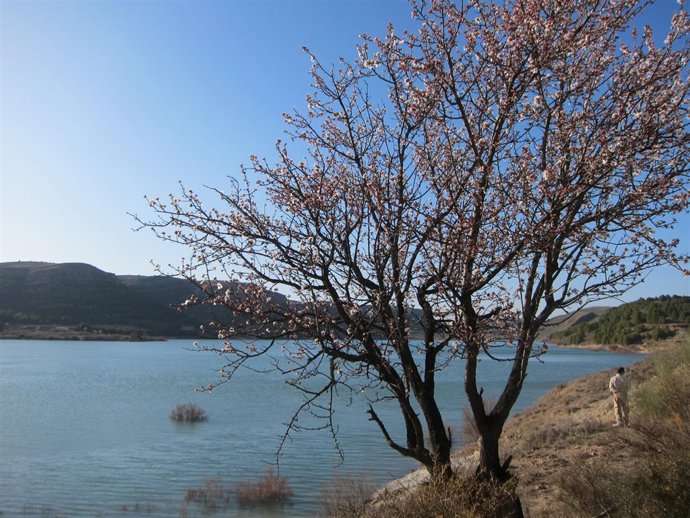 Pantano De La Cuenca