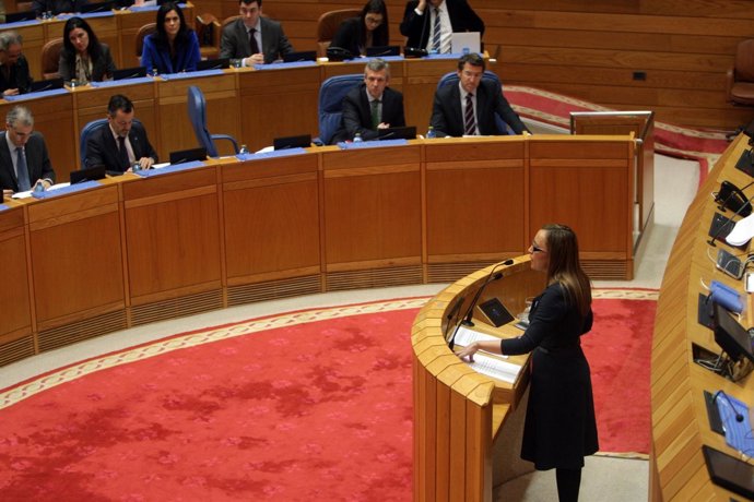 Elena Muñoz Fonteriz interviene en el pleno