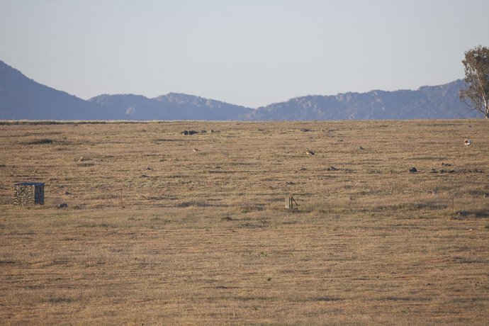El Museo de Educación Ambiental ofrece sesiones sobre fotografía de naturaleza.