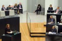 La Cañada Real, Oswaldo Payá y la entrada de un nuevo concejal protagonizarán el Pleno ordinario de Cibeles